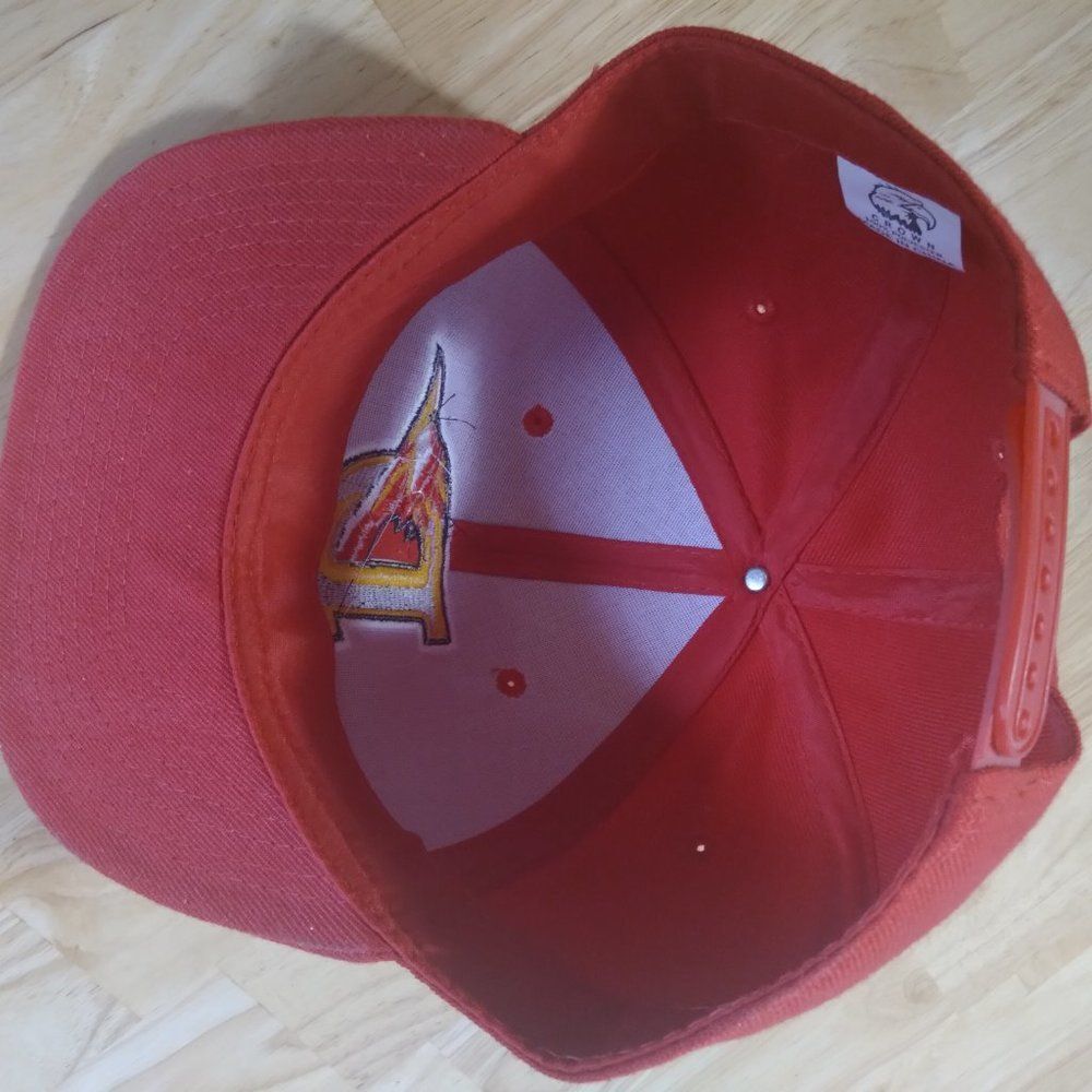 Vintage Delmarva Shorebirds Minor League Hat - Picture 5 of 7